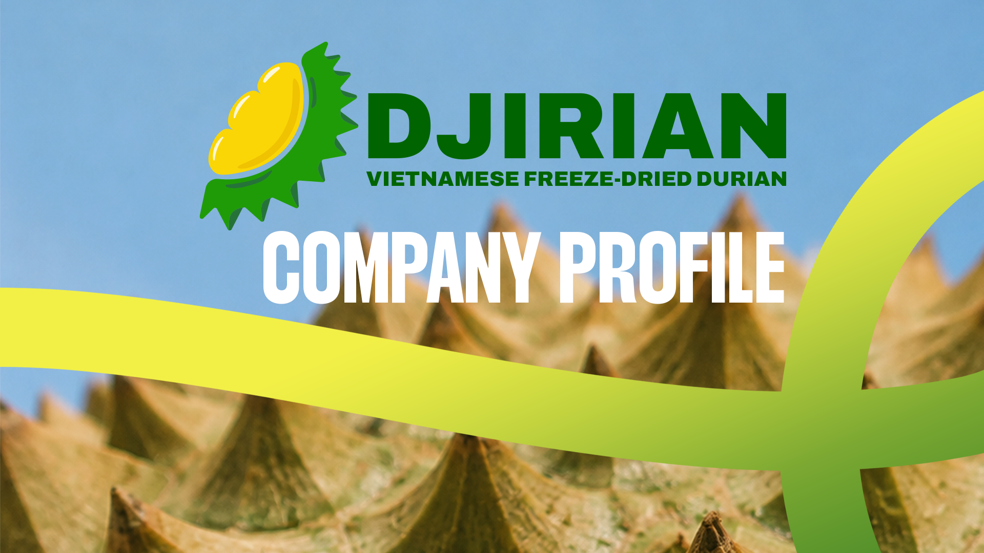Design & Branding work